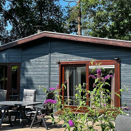 Dubbele Chalet Op Recreatiepark Topparken Op De Veluwe In Beekbergen Met Grote Vrije Tuin En Eigen Parkeerplaats Kültér fotó